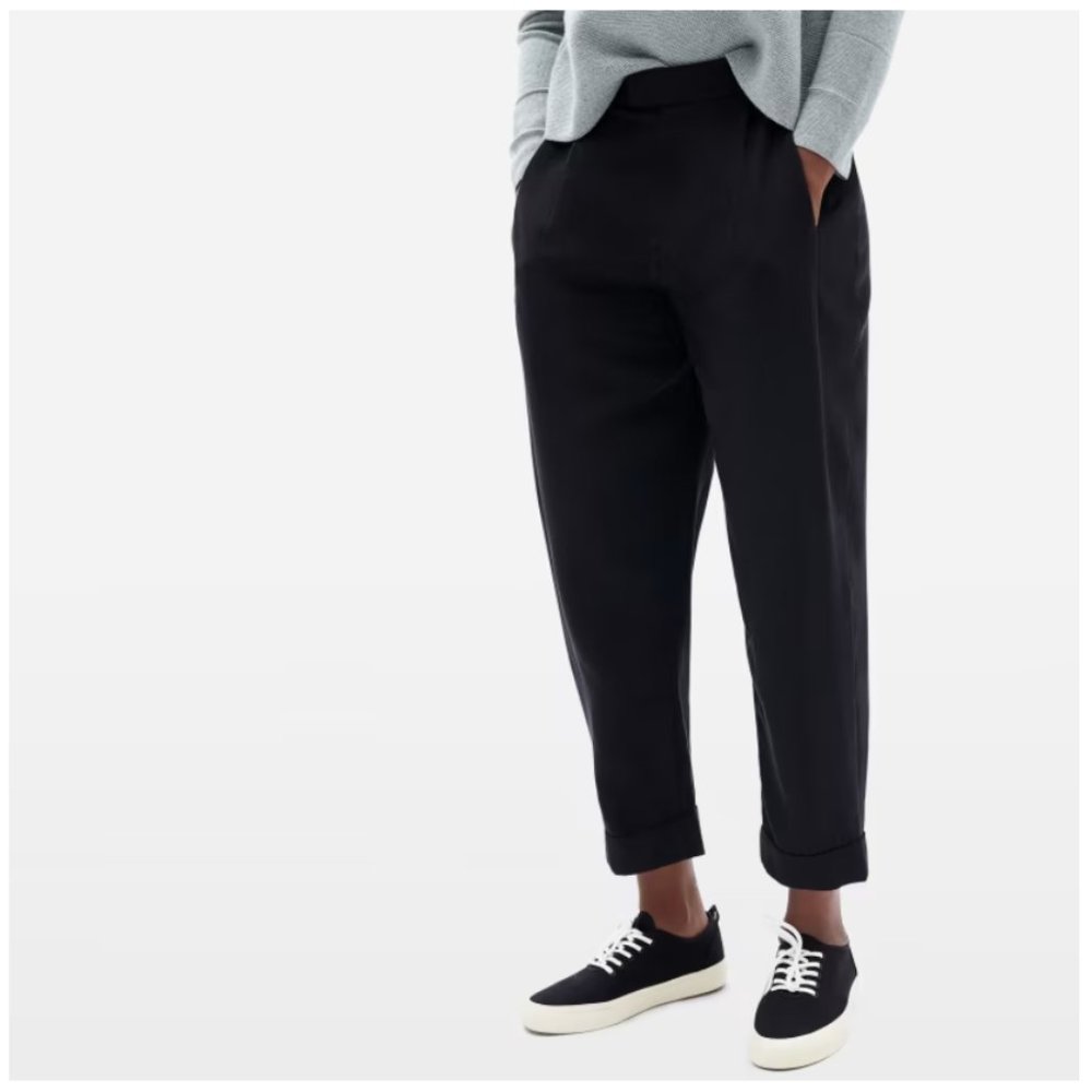 NWT!! Everlane Put-Together Pleat Pant in Black, Size 2 | Machine Washable